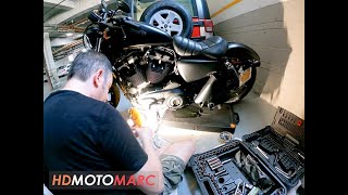 HarleyDavidson Iron 883 Primary Oil Change [upl. by Eintroc]