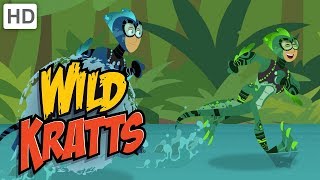 Wild Kratts  Pranks Pools and Creature Power Fun [upl. by Gael625]