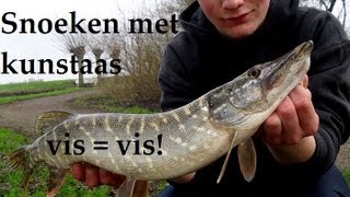 HLpredatorTEAM  Snoeken met kunstaas  Vis  vis [upl. by Acimehs]