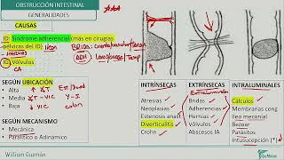 Cirugía general  Obstruccion Intestinal [upl. by Stannwood]