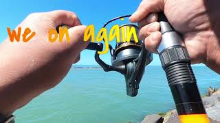 West Coast NZSurfcasting  The Mole Whanganui  Catch and cook [upl. by Audsley]