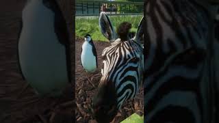 MARTY Y LOS PINGÜINOS  MADAGASCAR EN PLANET ZOO madagascar planetzoo animals [upl. by Piwowar897]