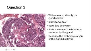 REVIEW OF GLANDULAR HISTOLOGY PART 2 [upl. by Mukul]