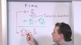 What is a Differential Equation [upl. by Ignacia]