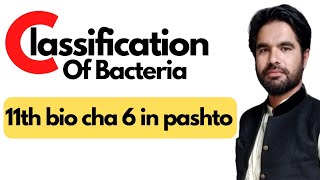 Classification of bacteria  Classes of proteobacteria  11 bio cha 6 in pashto [upl. by Allicerp]