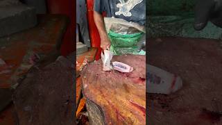 Tilapia Fish Cutting fishcuttingskillssrilankayoutubeshorts [upl. by Popele]