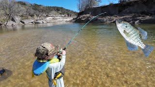 Crappie Fishing In Crystal Clear CREEK Catch Clean Cook MINNOW Fishing [upl. by Dlopoel]