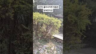 내게도사랑이 별사랑 함중아행복하세요 [upl. by Leta7]