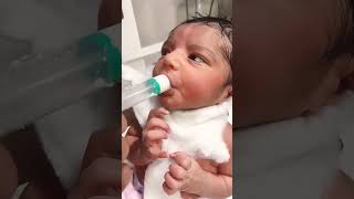 Feeding reflex so sweet 👌🥰cutebaby nicubaby childbirth tranding [upl. by Nimaynib]