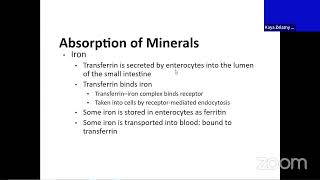 AampP Lecture  Fat Digestion [upl. by Eceirtal]