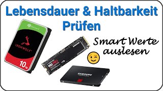 Festplatte auf Fehler prüfen 💽 Smart Werte auslesen ⏲️ Lebensdauer amp Haltbarkeit von HDD amp SSD [upl. by Feirahs561]