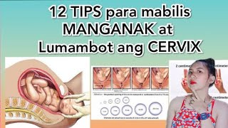 12 TIPS para mabilis MANGANAK at Lumambot ang CERVIX [upl. by Mak352]