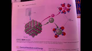 21 Chemistry of Life 22 [upl. by Nicodemus682]