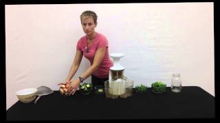 How to Make Green Juice in a Masticating amp Centrifugal Juicer [upl. by Haelem693]