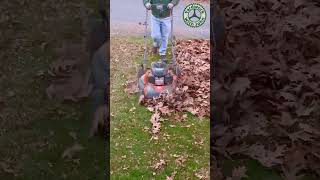 Mulching up leaves into my front lawn [upl. by Eugenia336]