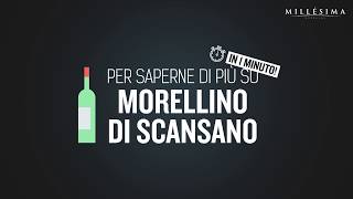 Video tutorial – DOCG MORELLINO DI SCANSANO  TOSCANA [upl. by Niltak]