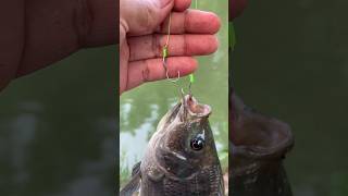 DIY FISHING RIG 2 HOOK UPGRADE HOOK DESIGN 2024 DIY RIG FISHING fishing tutorial [upl. by Sihtnyc577]