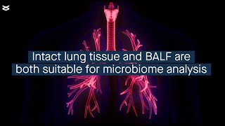 Determining the appropriate sample types for a mouse model of acute lung injury [upl. by Muhan]