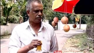 Passion fruit farming at Mundakayam Kottayam  Money Time 21 Oct 2016 [upl. by Bbor427]