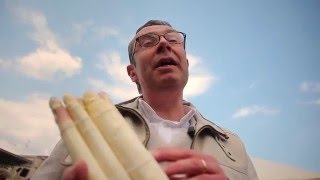 Asperge du Blayais  découverte en vidéo [upl. by Ellives]