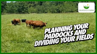 Planning your Paddocks and Dividing your Fields [upl. by Sudnak]