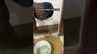 WALL DAMPNESS OR PEELING PAINT SOLUTION waterproofing construction dampproof explore [upl. by Amlas]