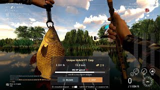 Fishing Planet  Unique Hybrid F1 Carp  Weeping Willow Fisheries [upl. by Nuahsad780]