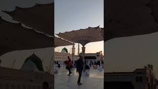 Madina view madinamadina madinasharif viralvideo viralshort [upl. by Nyvlem]