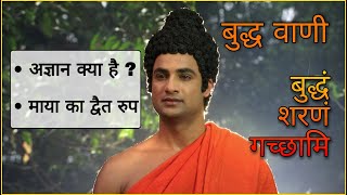 Buddha Teachings  02  अज्ञान क्या है   माया का द्वैत रूप  Buddha Serial [upl. by Etnovad]