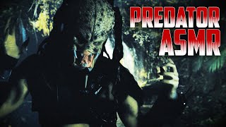 Predator ASMR Roleplay  Healing You for the Hunt No Talking [upl. by Erb285]