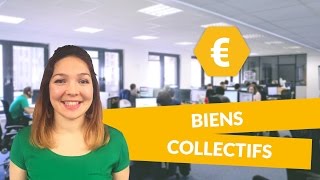 Biens collectifs  Economie  Première ES  digiSchool [upl. by Atinaw786]