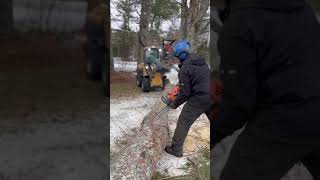 Is the Husqvarna 572XP one of the best saws on the market [upl. by Annice]