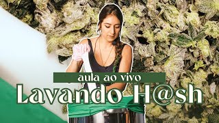 Lavando hsh ao vivo com Alice Reis [upl. by Namso]