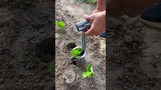 🌿 Easy method for growing plants Seedling Transplanter Agricultural Tools [upl. by Ellord]