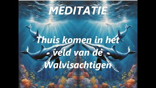 Meditatie Integratie in het Bewustzijnsveld van de Walvisachtigen [upl. by Nagar]