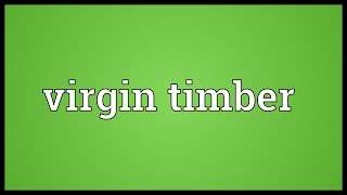 Virgin timber Meaning [upl. by Mistrot]