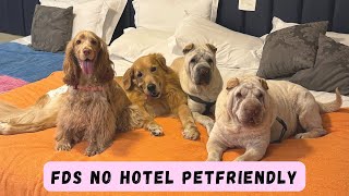 FDS no hotel petfriendly com a turma toda [upl. by Nayar61]