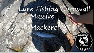 Lure fishing Cornwall  I Catch The Biggest Mackerel Ive seen [upl. by Claybourne]