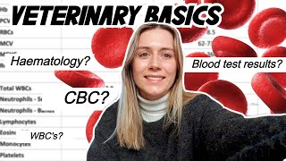 VETERINARY BASICS How to read a blood test CBC amp Haematology [upl. by Eihctir]