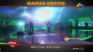 DAMAS GRATIS  INGRATA VIVO [upl. by Gladis]