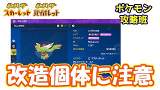 改造ポケモンの見分け方について！巻き込まれバンに注意【ポケモンスカバイ】【ポケモン攻略班】【ポケモンスカーレットバイオレット】【ポケモンSV】 [upl. by Midis]