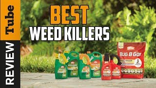 ✅Weed Killer Best Weed Killer Buying Guide [upl. by Nwadrebma]