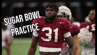 Alabama Football Early Enrollees Caleb Downs amp Justice Haynes at Sugar Bowl Practice rolltide [upl. by Ineslta]