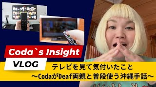 テレビを見て気付いたこと〜CodaがDeaf両親と普段使う沖縄手話〜 [upl. by Meirrak562]