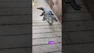 What Seeing a Crocodile in Your Dream REALLY Means MUST WATCH [upl. by Kiehl305]