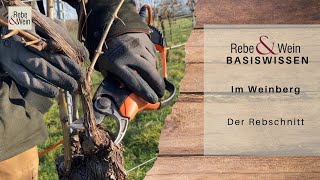 Rebe amp Wein Basiswissen  Im Weinberg Rebschnitt [upl. by Mord]