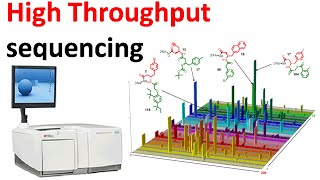 High throughput sequencing [upl. by Brick]