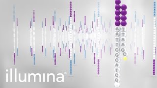 Overview of Illumina Sequencing by Synthesis Workflow [upl. by Vivl]