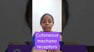 Sensory receptors ccns physiology class mbbs1styear physiologyvideos physiologylectures [upl. by Ahsi]