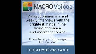 MacroVoices 240 Dr Pippa Malmgren US Election Outlook [upl. by Spragens]